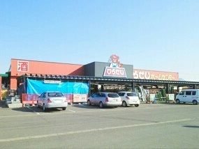 近くのひらせいホームセンターまで930m（徒歩12分）