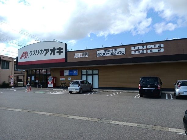 近くのクスリのアオキ高岡江尻店まで650m（徒歩9分）
