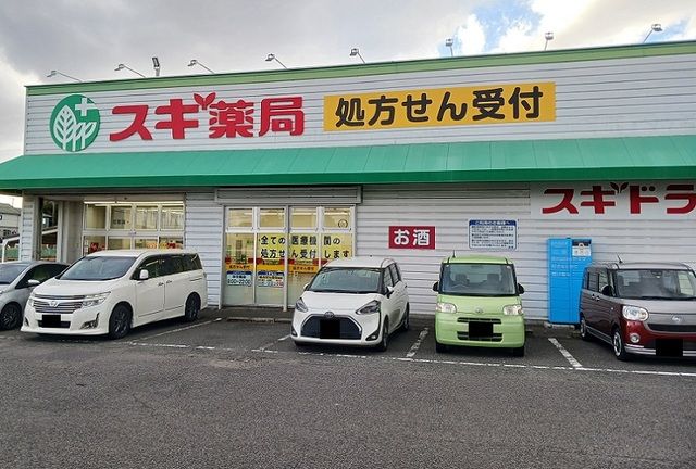 近くのスギドラッグまで850m(徒歩11分)