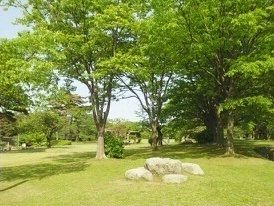 近くの赤坂山公園まで600m（徒歩8分）