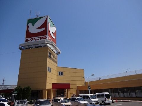 近くのヨークベニマル富久山店まで800m（徒歩10分）