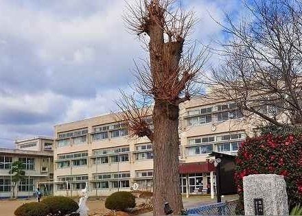 近くの平磯小学校まで500m（徒歩7分）