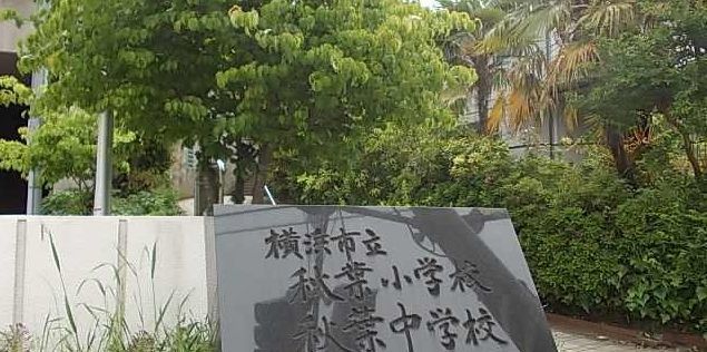 近くの秋葉小学校まで557m（徒歩7分）