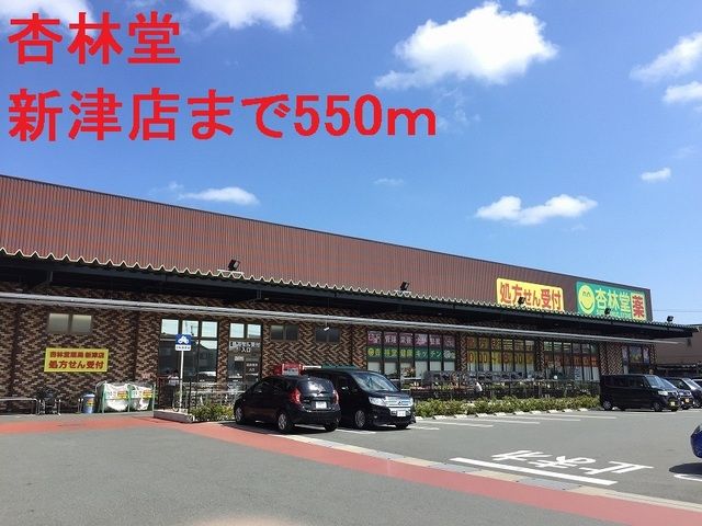 近くの杏林堂まで550m（徒歩7分）