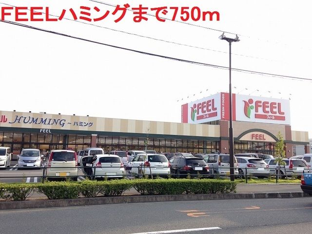 近くのＦＥＥＬハミングまで750m（徒歩10分）