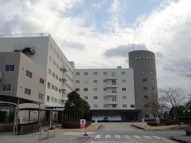 近くの帝京平成大学まで800m（徒歩10分）