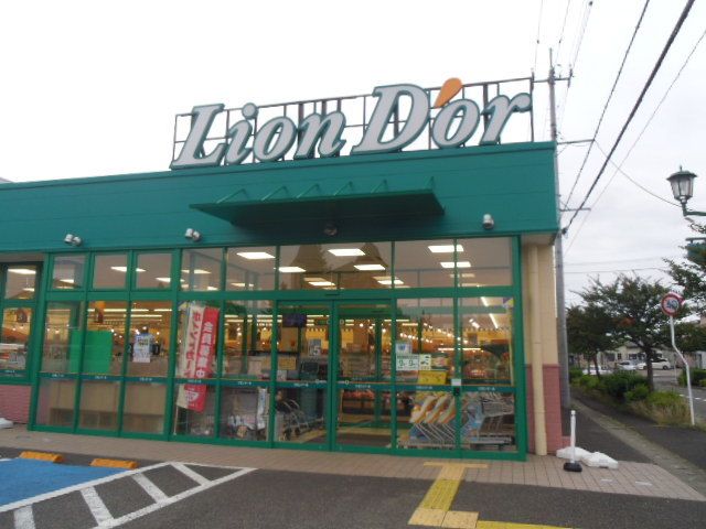 近くのリオン・ドール南中央店まで650m(徒歩9分)