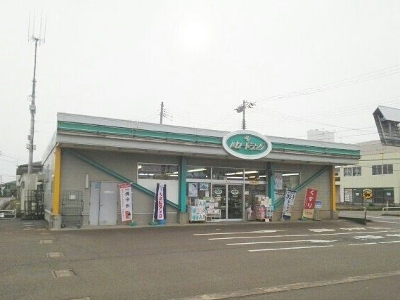 近くのハロードラッグ新組店まで2,150m（徒歩27分）
