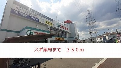 近くのスギ薬局まで350m(徒歩5分)