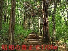 近くの昭和の森公園まで1,700m(徒歩22分)