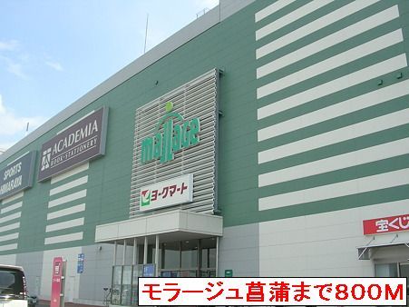 近くのモラージュ菖蒲まで800m（徒歩10分）