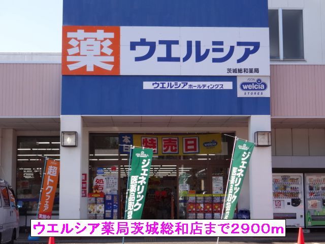 近くのウエルシア薬局茨城総和店まで2,900m（徒歩37分）