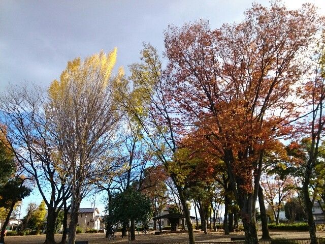 近くの公園まで300m（徒歩4分）