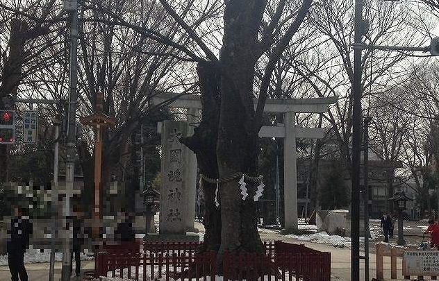 近くの大國魂神社まで1,280m（徒歩16分）