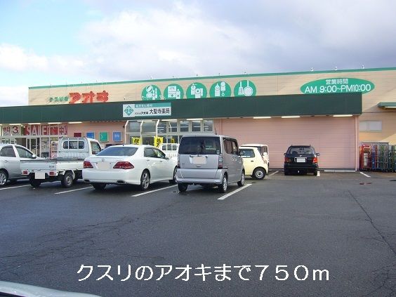 近くのクスリのアオキまで750m（徒歩10分）
