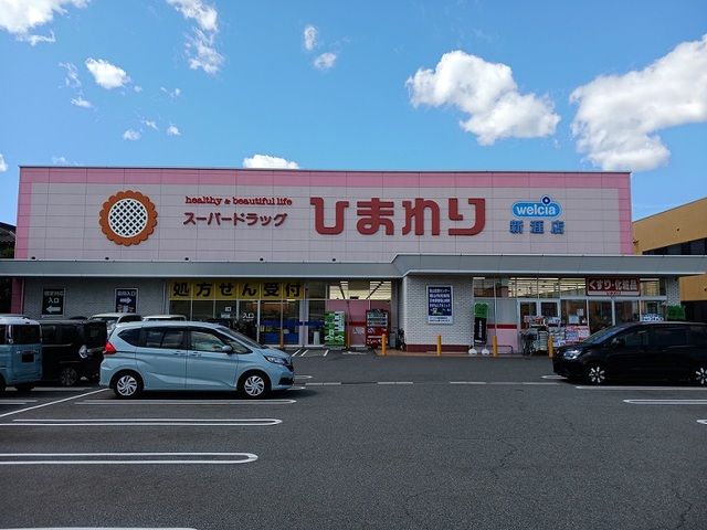 近くのひまわり新涯店まで650m(徒歩9分)