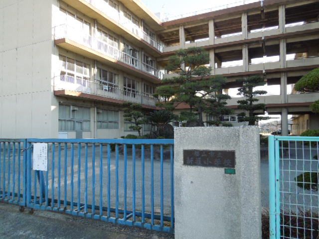 近くの新涯小学校まで800m(徒歩10分)