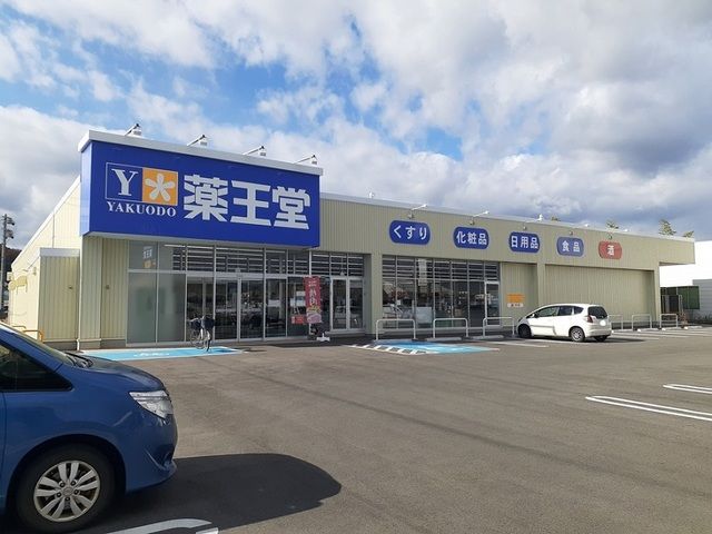 近くの薬王堂まで300m（徒歩4分）