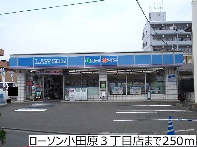 近くのコンビニまで250m（徒歩4分）