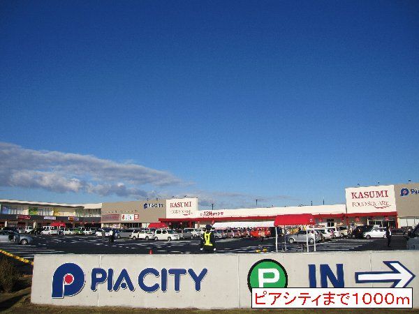 近くのピアシティまで1,000m(徒歩13分)