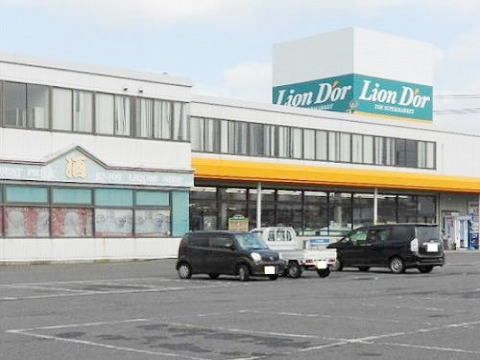 近くのリオン・ドール須賀川インター店まで800m(徒歩10分)