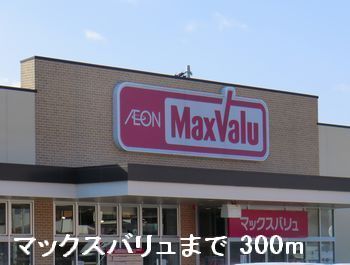 近くのスーパーまで300m（徒歩4分）