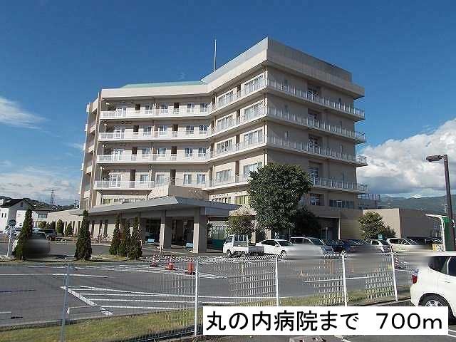 近くの丸の内病院まで700m(徒歩9分)