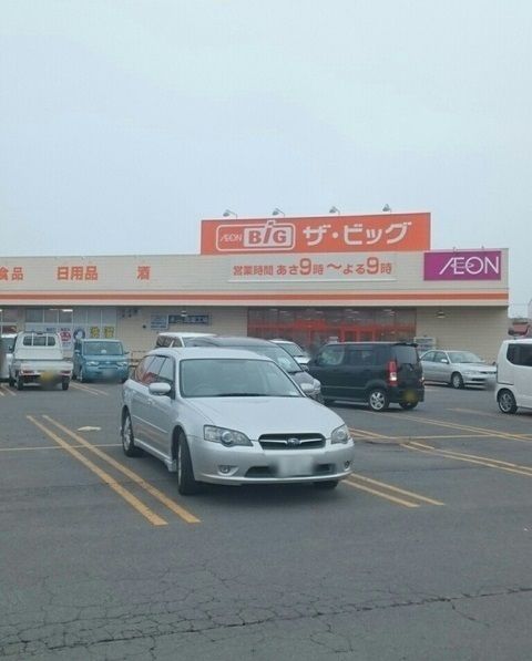 近くのザ・ビッグまで1,170m（徒歩15分）