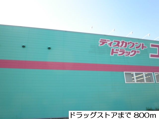 近くのドラッグストアまで800m（徒歩10分）