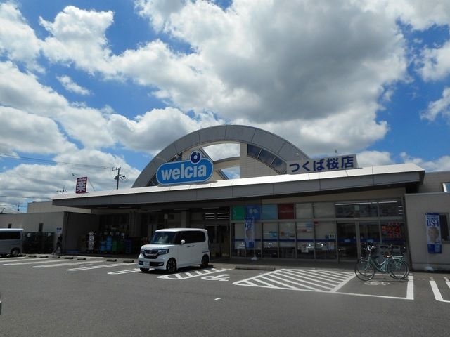 近くのウエルシアつくば桜店まで1,000m（徒歩13分）