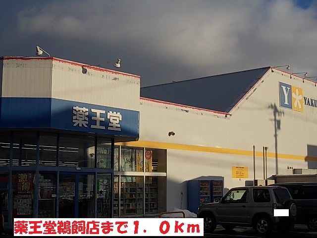近くの薬王堂鵜飼店まで1,000m（徒歩13分）
