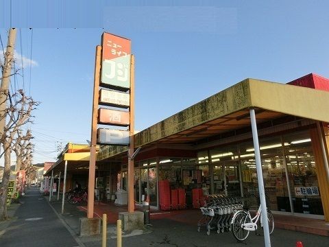 近くのニューライフフジ岩田店まで650m(徒歩9分)