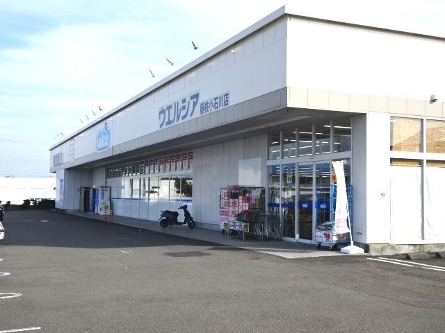 近くのドラッグストアまで1,290m（徒歩17分）