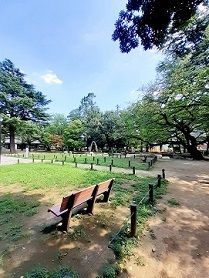 近くの板橋区平和公園まで5m(徒歩1分)