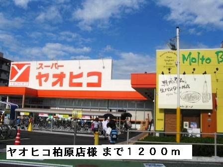 近くのヤオヒコ柏原店様まで1,200m(徒歩15分)