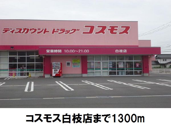 近くのコスモス白枝店まで1,300m（徒歩17分）
