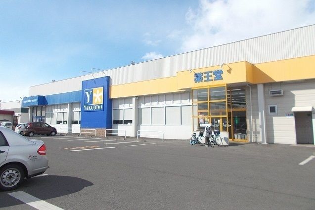 近くの薬王堂 城西店まで900m（徒歩12分）