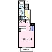アネシスの間取り画像