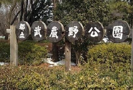 近くの武蔵野公園まで350m（徒歩5分）