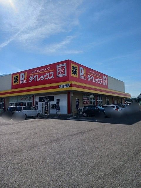 近くのダイレックス西連寺店まで1,100m（徒歩14分）