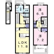 CELESTINOの間取り画像
