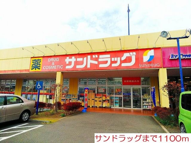 近くのドラッグストアまで1,100m（徒歩14分）