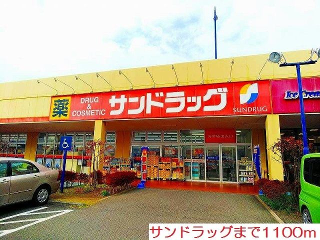 近くのサンドラッグまで1,100m（徒歩14分）