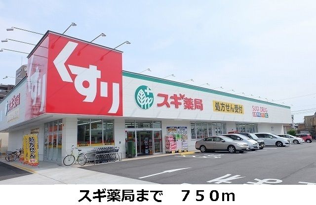 近くのスギ薬局まで750m（徒歩10分）
