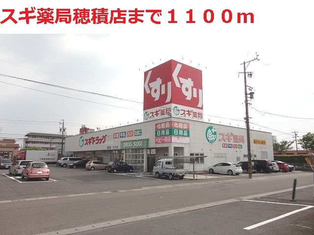 近くのスギ薬局 穂積店まで1,100m(徒歩14分)