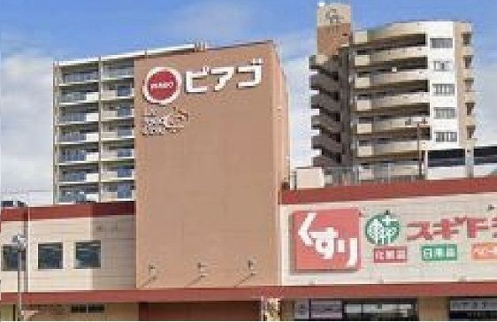 近くのピアゴ三河安城店まで800m（徒歩10分）