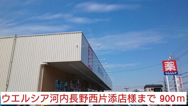 近くのウエルシア河内長野西片添店様まで900m(徒歩12分)
