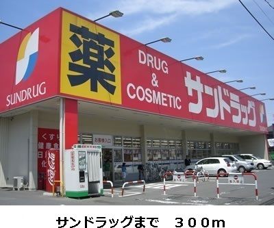 近くのサンドラッグまで300m（徒歩4分）
