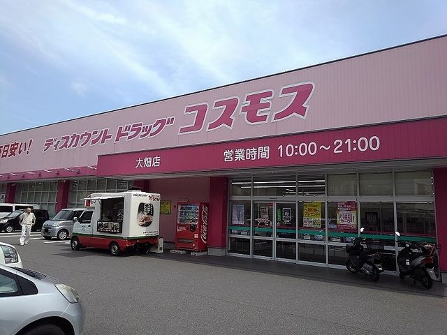 近くのコスモスまで750m(徒歩10分)