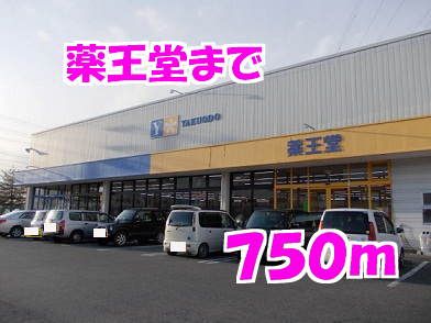 近くのドラッグストアまで750m（徒歩10分）